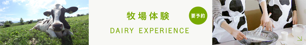 牧場体験