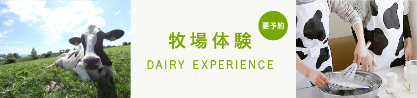 牧場体験