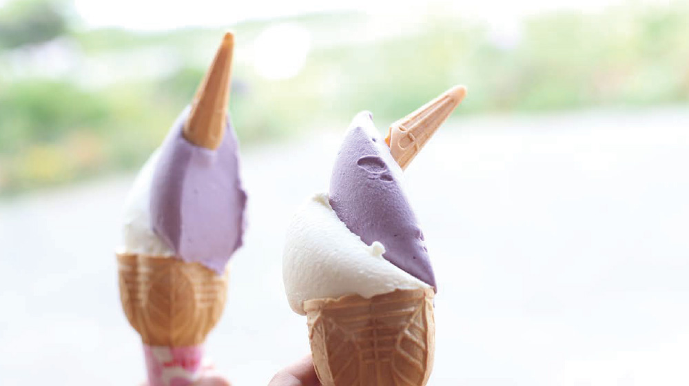 レークヒル ファーム Lake Hill Farm 商品のこと レークヒル ファーム Lake Hill Farm 商品のこと